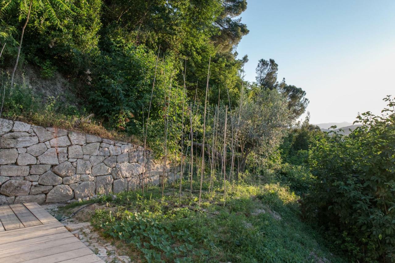 Villa Fortezza Antique Rooms Ascoli Piceno Bagian luar foto